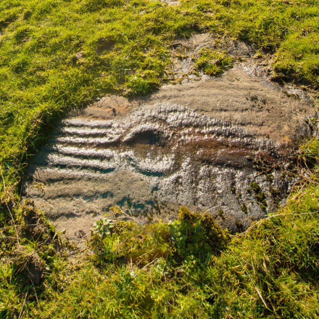 Isle of Doagh, prehistoric rock art, Irish rock art, Donegal rock art, petroglyphs, rock carving, cup & ring art, cup & ring carving,